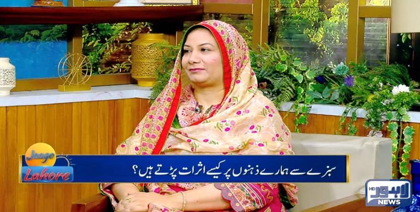 Aysha Hanif being interviewed on Lahore News TV programme